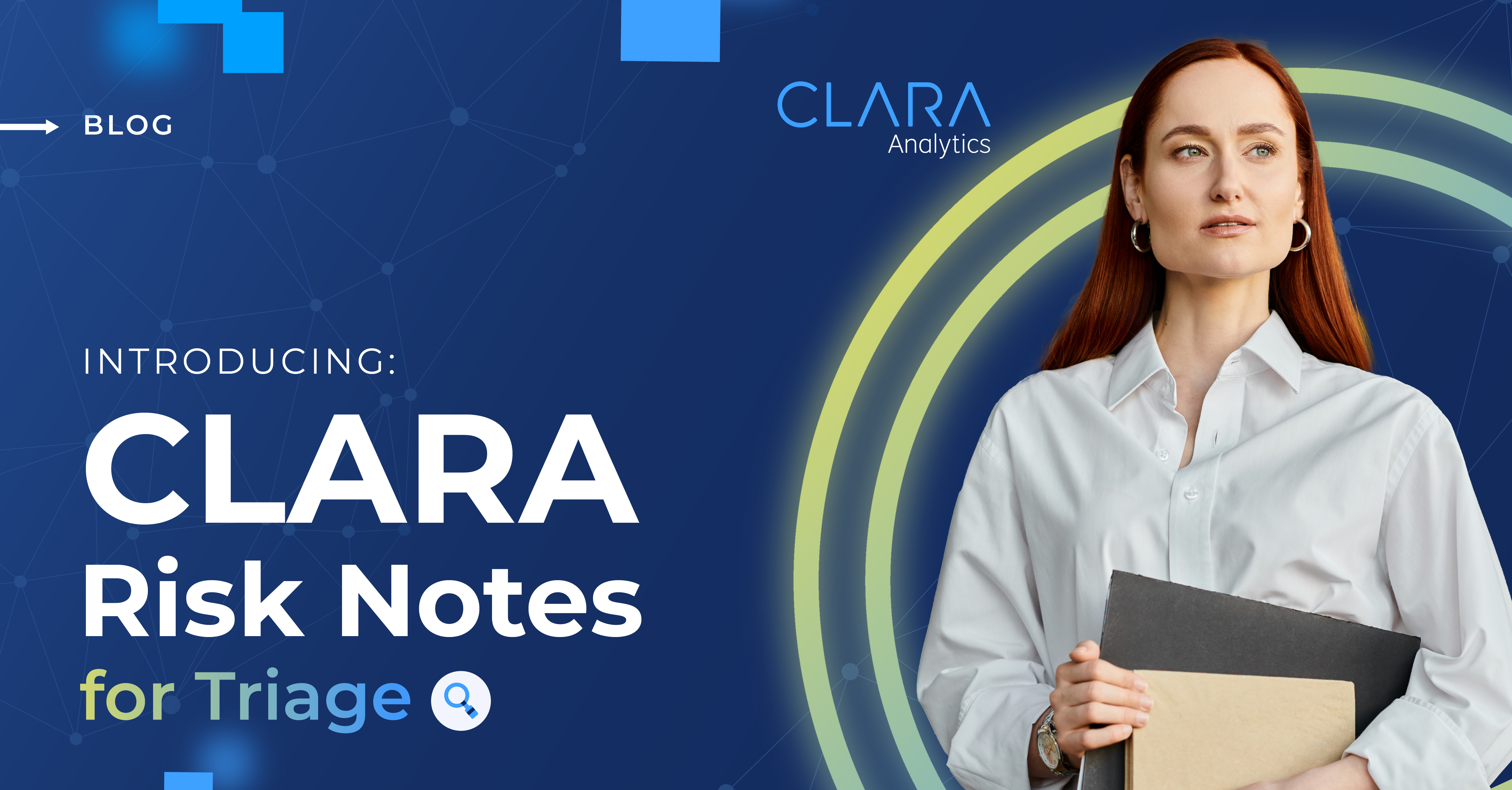 Introducing CLARA Risk Notes